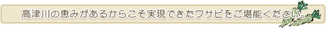 高津川の恵みがあるからこそ実現できたワサビをご堪能ください。